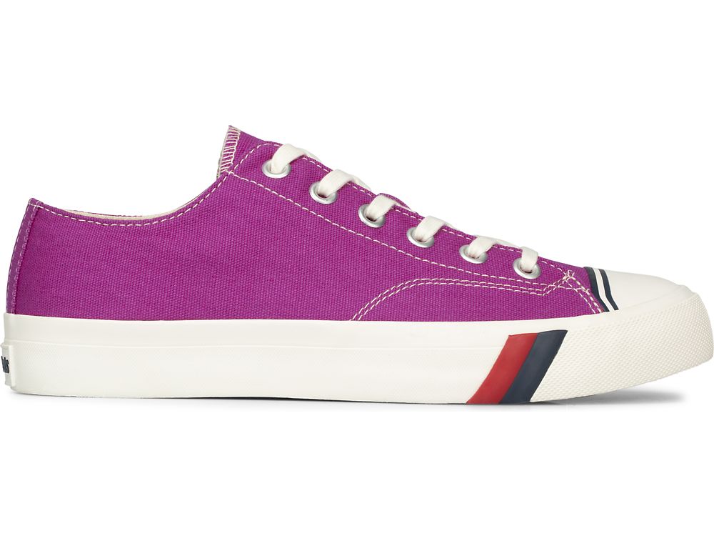 Keds Royal Lo Canvas Muške Patike Fuschia | RS-77410